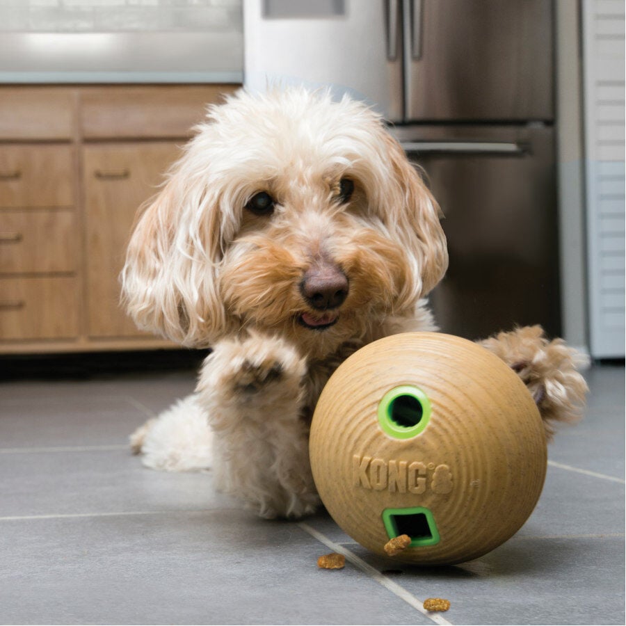 Kong Bamboo Pelota Portagolosinas para perros, , large Imagen numero 2