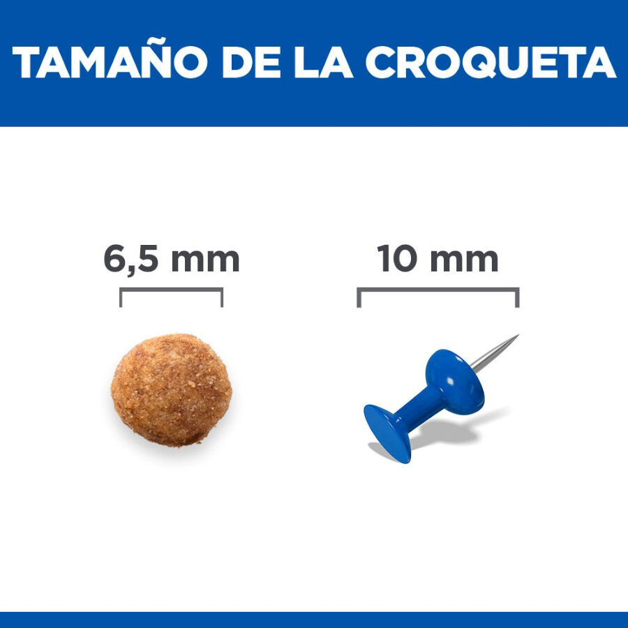 1.5 kg Hill's Urinary Pollo pienso para gatos, , large Imagen numero 4
