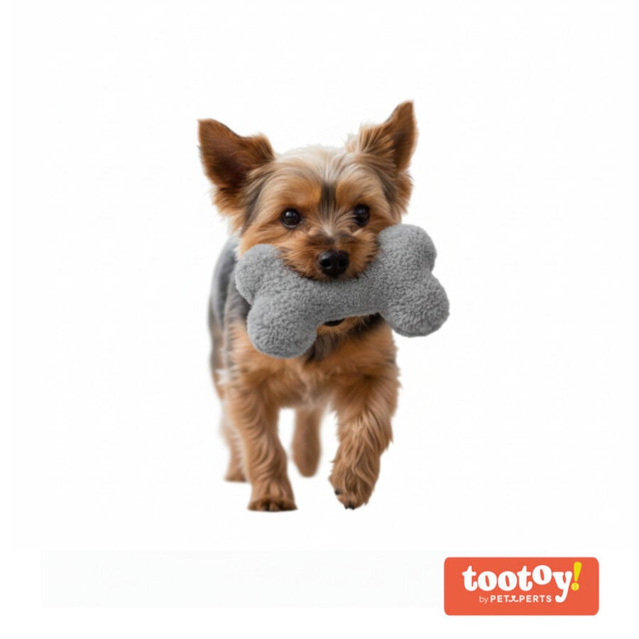 Tootoy! Hueso de Peluche con Sonido Gris para perros 