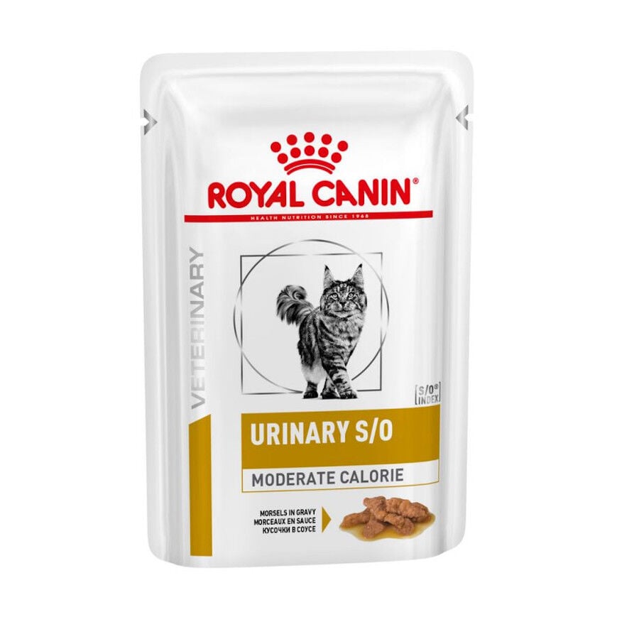 12 sobres x 85 g Royal Canin Veterinary Urinary Moderate Calorie sobres para gatos, , large Imagen numero 1
