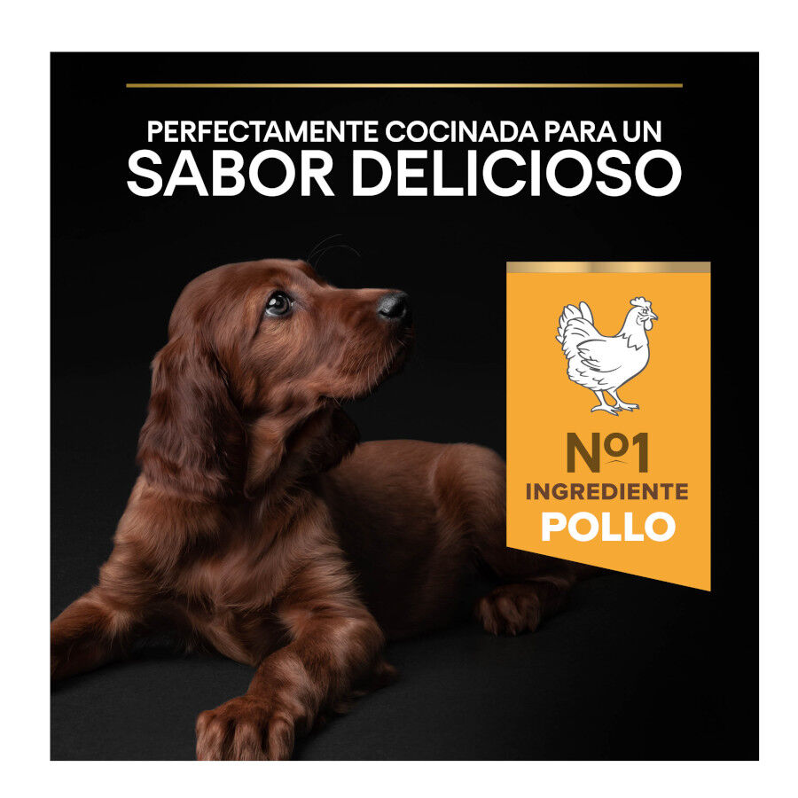 12 kg Pro Plan Puppy Large Athletic Pollo pienso para perros, , large Imagen numero 5