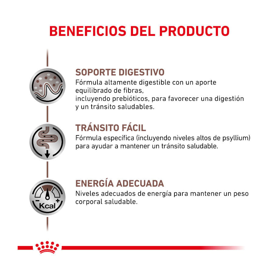 4 kg Royal Canin Veterinary Gastrointestinal Fibre Response pienso para gatos, , large Imagen numero 3