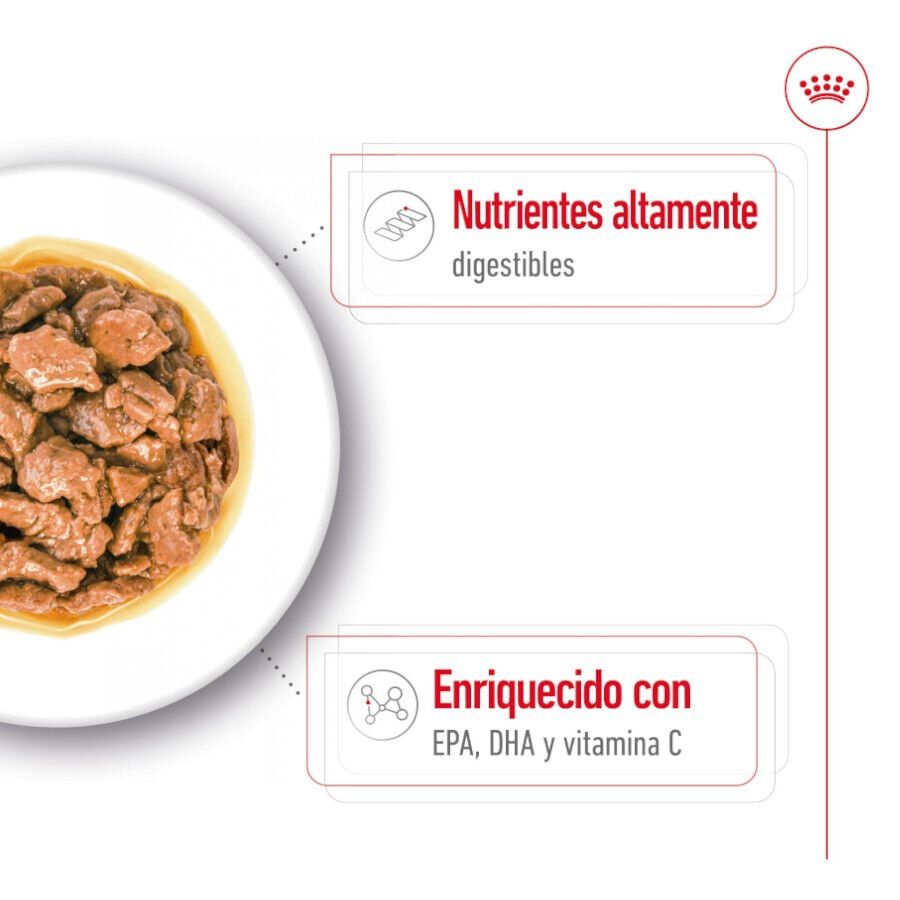 85 g Royal Canin X-Small Adult sobres en salsa para perros, , large Imagen numero 3