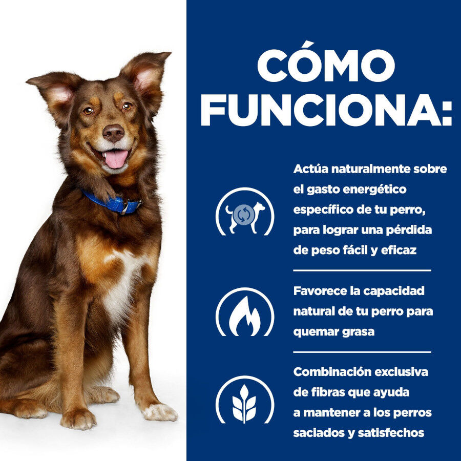370 g Hill's Prescription Diet Metabolic Vacuno y Verduras lata para perros, , large indicador imagen numero 5