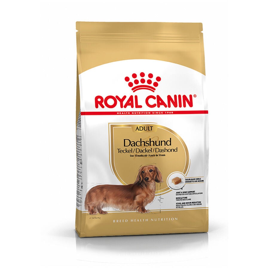 7.5 kg Royal Canin Adult Dachshund pienso para perros, , large indicador imagen numero 1
