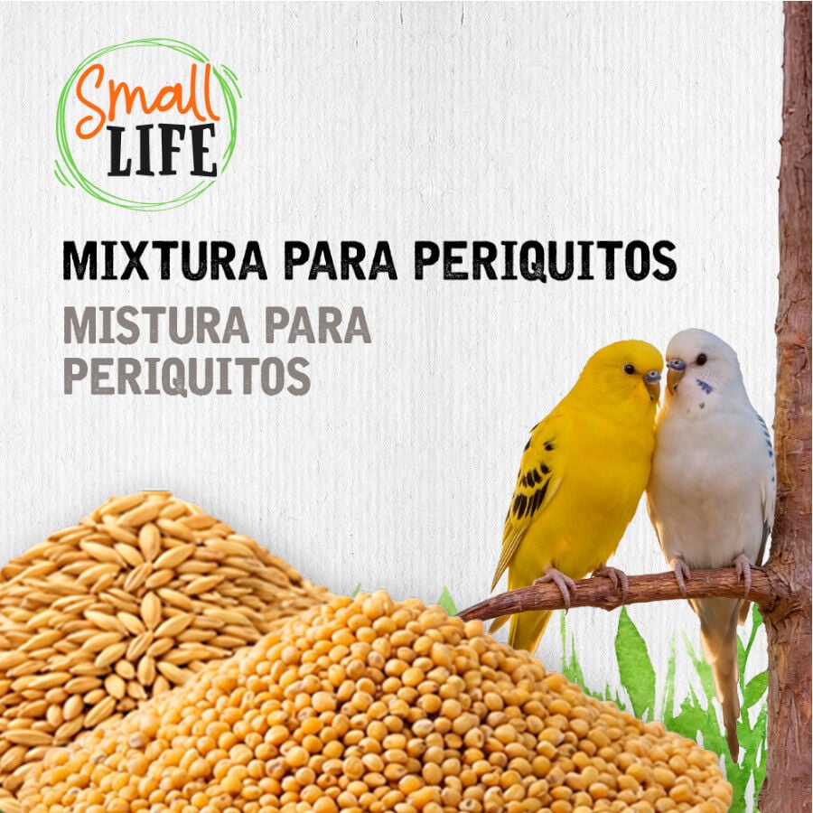 3.7 kg Small Life Mixtura Cubos para periquitos, , large indicador imagen numero 3