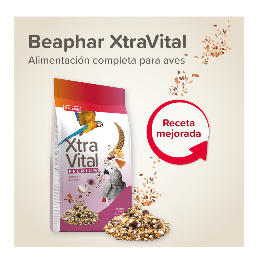 Beaphar XtraVital Comida para loros, , large indicador imagen numero 2