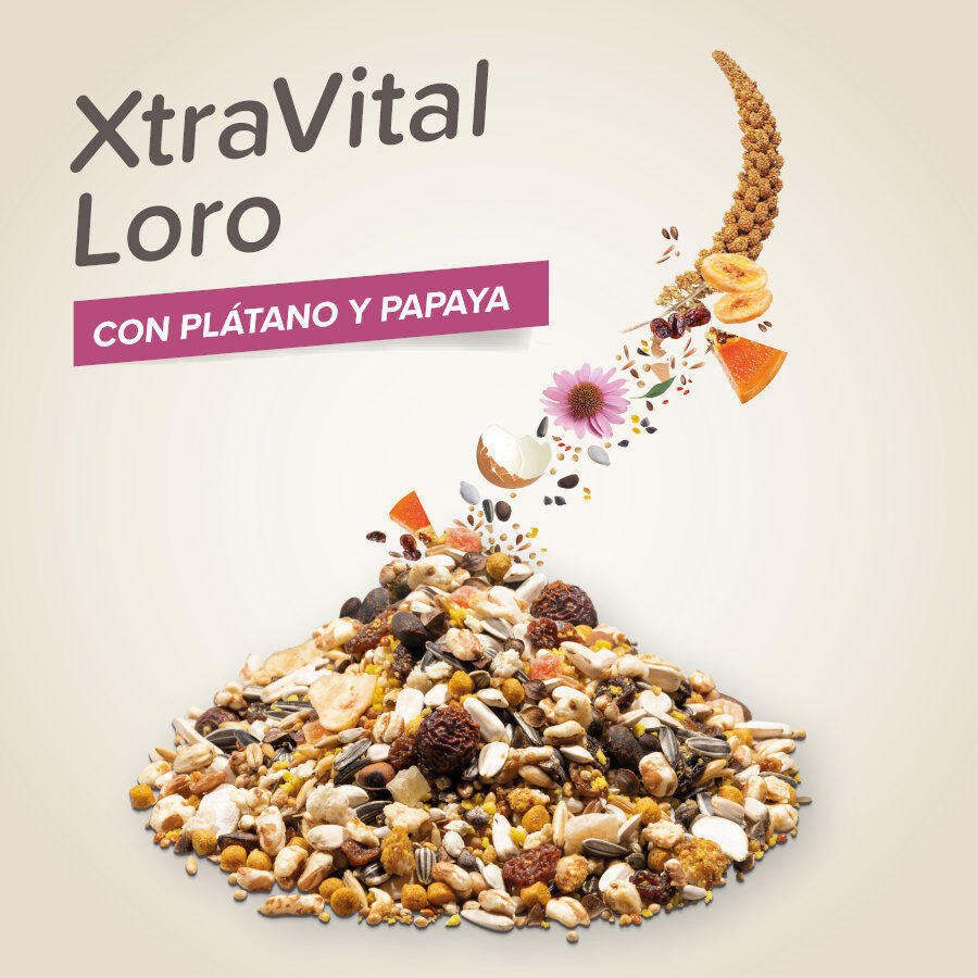 Beaphar XtraVital Premium Loros alimento para p&aacute;jaros, , large indicador imagen numero 3