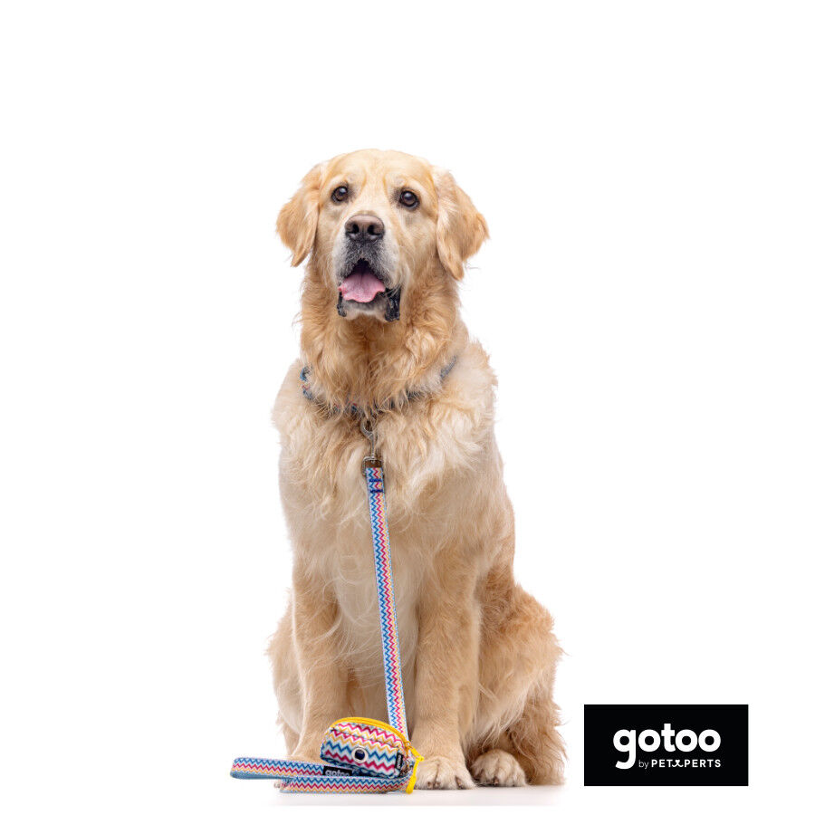 Gotoo Porta bolsas estampado rayas zig-zag para perros, , large Imagen numero 3