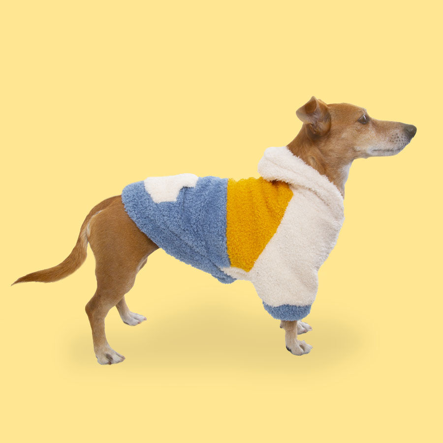 Outech Colorblock Pijama para perros, , large indicador imagen numero 2