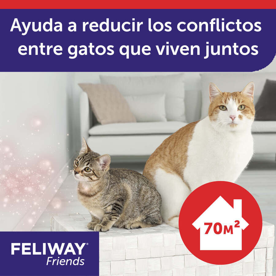 Feliway Friends Difusor para gatos, , large indicador imagen numero 3