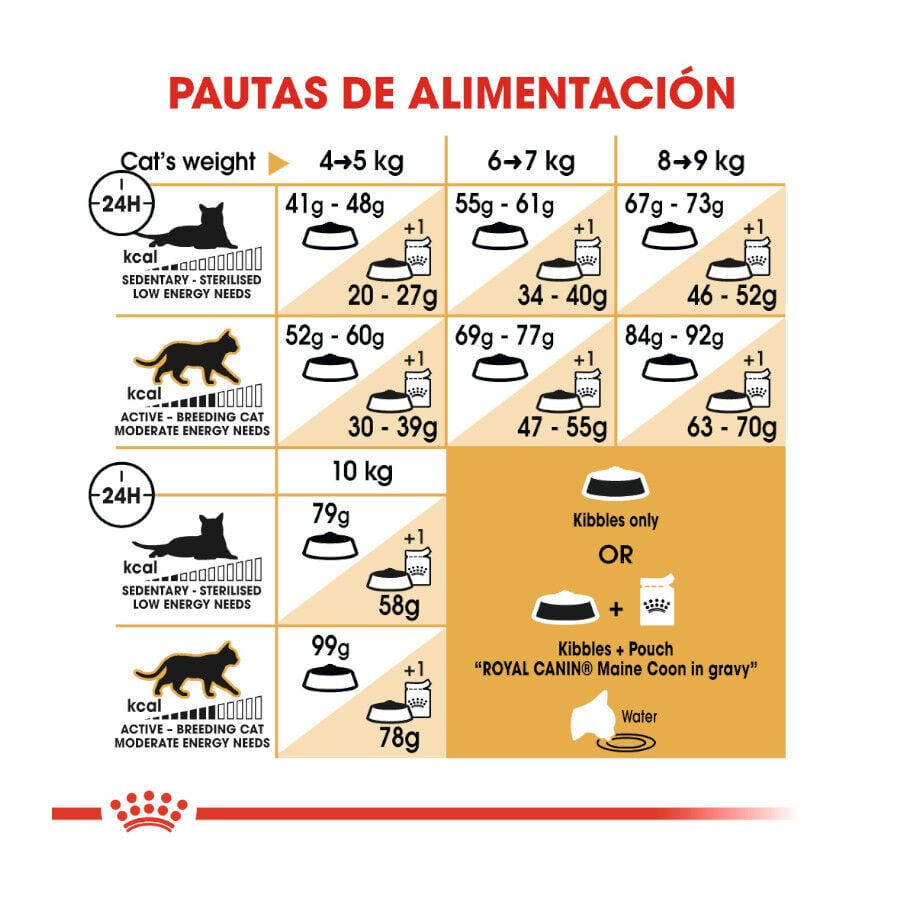 10 kg Royal Canin Adult Maine Coon pienso para gatos, , large Imagen numero 7