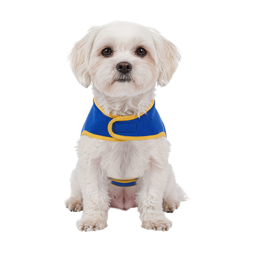 Gotoo Chaqueta Azul con Bolsillo para perros, , large indicador imagen numero 7