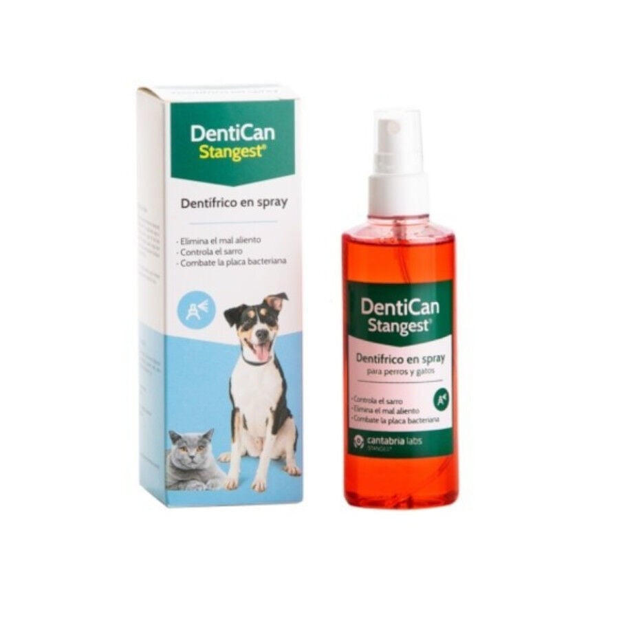 Stangest DentiCan Dent&iacute;frico en Spray para perros y gatos
