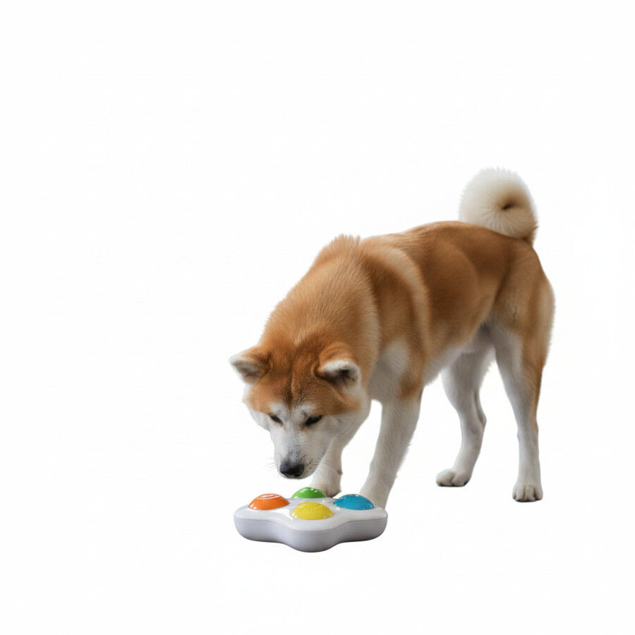 All For Paws Interactives Juguete Mental para perros y gatos, , large indicador imagen numero 1