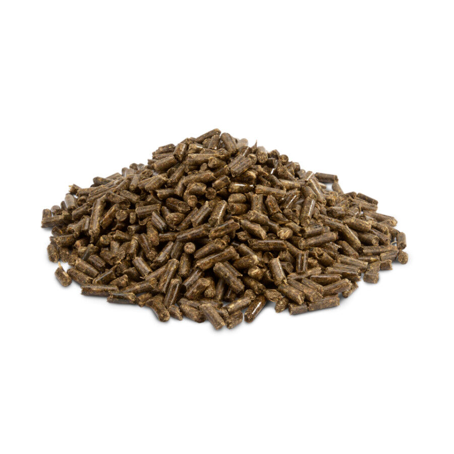 2 kg Versele-Laga Cripsy Pellets Pienso para cobayas, , large indicador imagen numero 3
