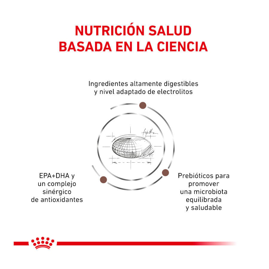 4 kg Royal Canin Veterinary Gastrointestinal Moderate Calorie pienso para gatos, , large Imagen numero 3