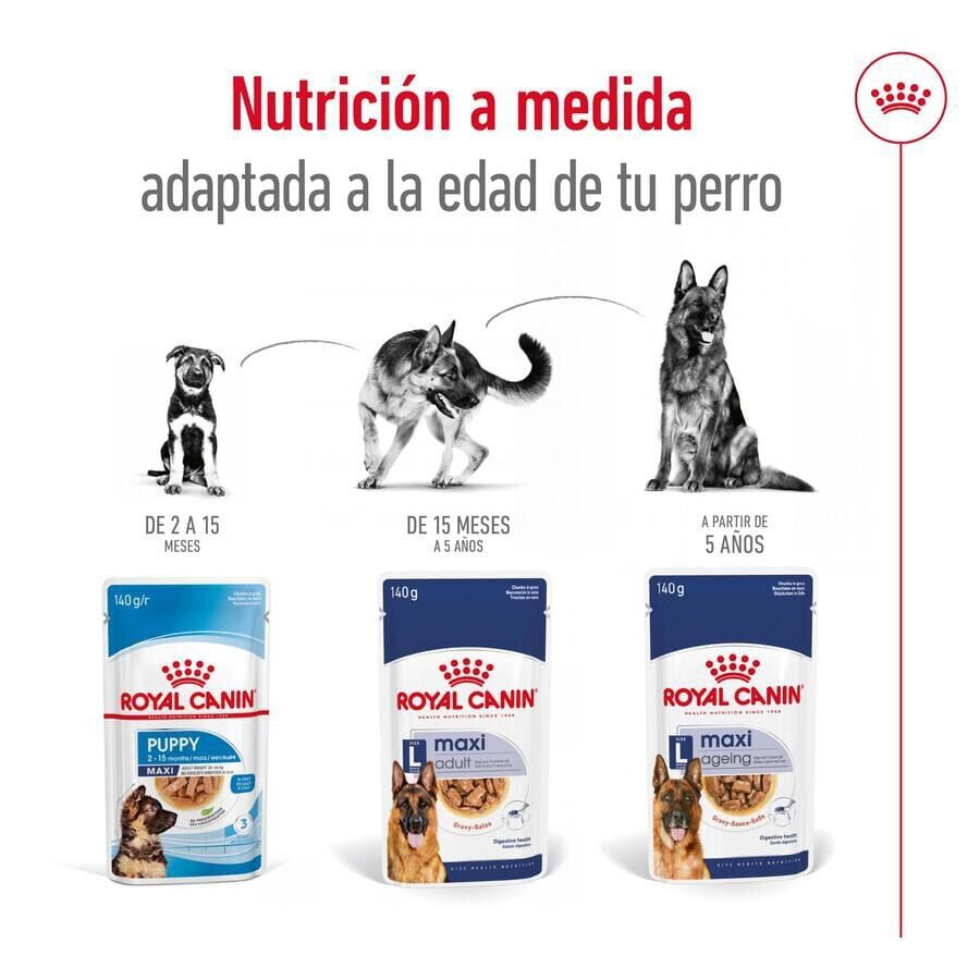 140 g Royal Canin Maxi Adult Carne sobre en salsa para perros, , large indicador imagen numero 7