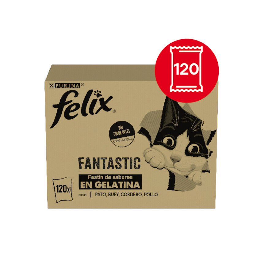 120 sobres x 85 g Felix Fantastic Selecciones Favoritas de Carnes en Gelatina sobre para gatos &ndash; Multipack, , large indicador imagen numero 2