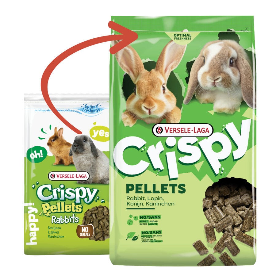 Versele-Laga Crispy Pellets Pienso para conejos