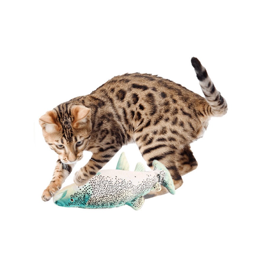 All For Paws Natural Instinct Juguete Interactivo Pez para Gatos, , large Imagen numero 1