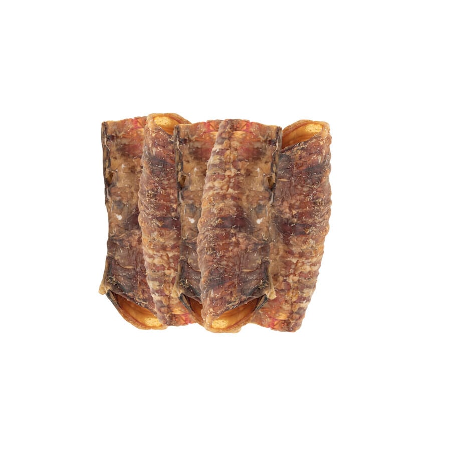 Pack 5 uds. True Origins Wild Tr&aacute;quea Cerdo Snack para perros, , large indicador imagen numero 3