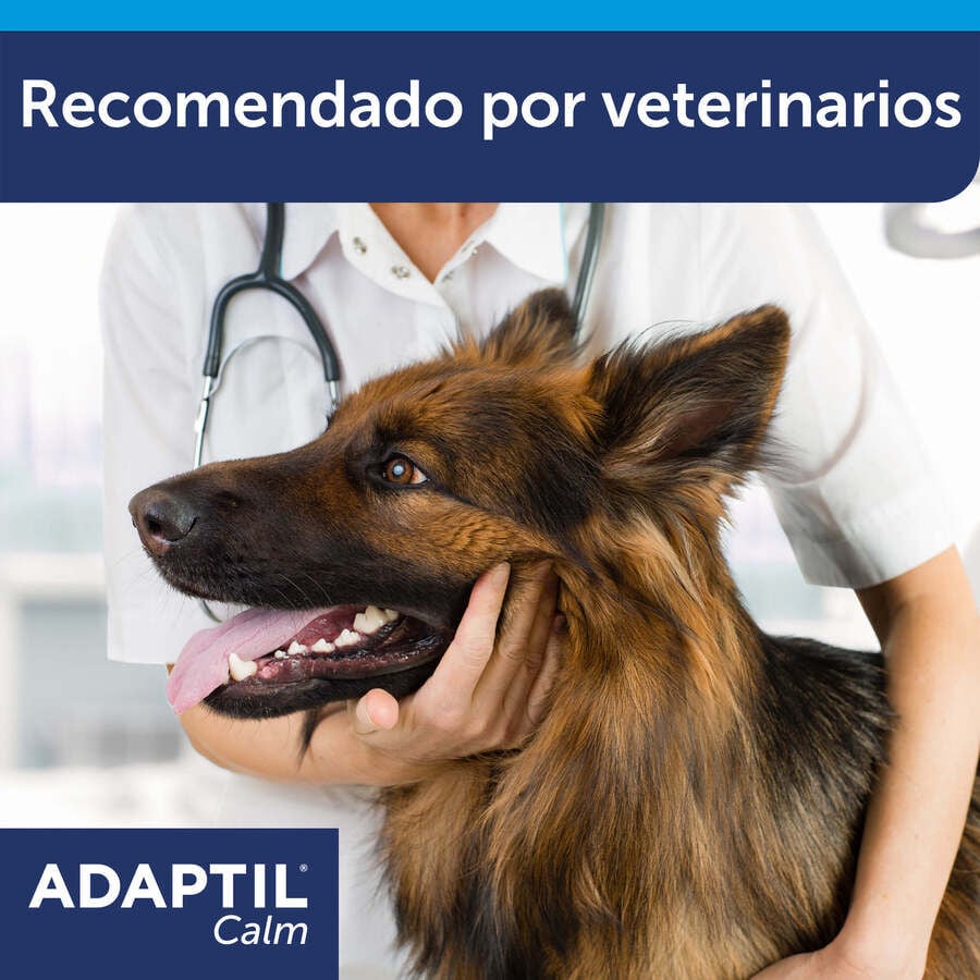 Adaptil Difusor + Recambio Tranquilizante para perros, , large indicador imagen numero 9