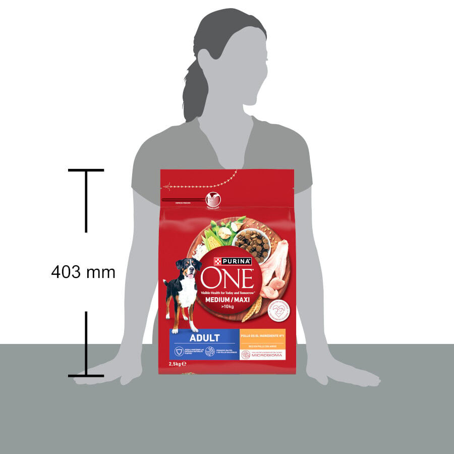 2,5 kg Purina One Pienso Pollo para perros adultos, , large indicador imagen numero 4