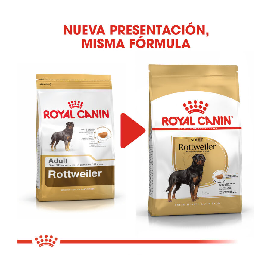 12 kg Royal Canin Adult Rottweiler pienso para perros, , large indicador imagen numero 3