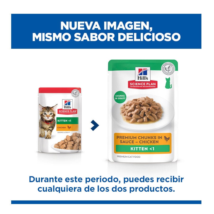 85 g Hill's Science Plan Kitten Pollo sobre en salsa para gatitos, , large Imagen numero 2