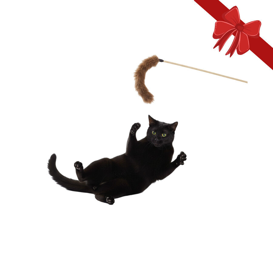 Wonder Christmas Juguete de Ca&ntilde;a Navide&ntilde;o para gatos, , large indicador imagen numero 1