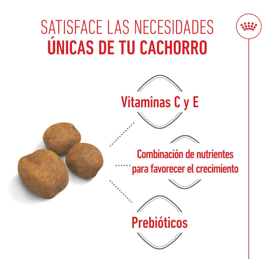 1 kg Royal Canin Puppy Giant pienso para perros, , large Imagen numero 4