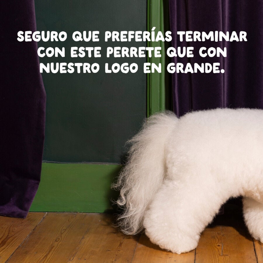 12 kg Edgard & Cooper Adult Pollo pienso para perros, , large indicador imagen numero 10