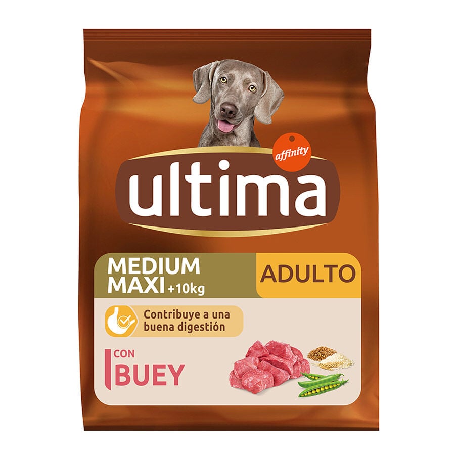 12 kg Affinity Ultima Adult Medium/Maxi Buey pienso para perros, , large Imagen numero 1