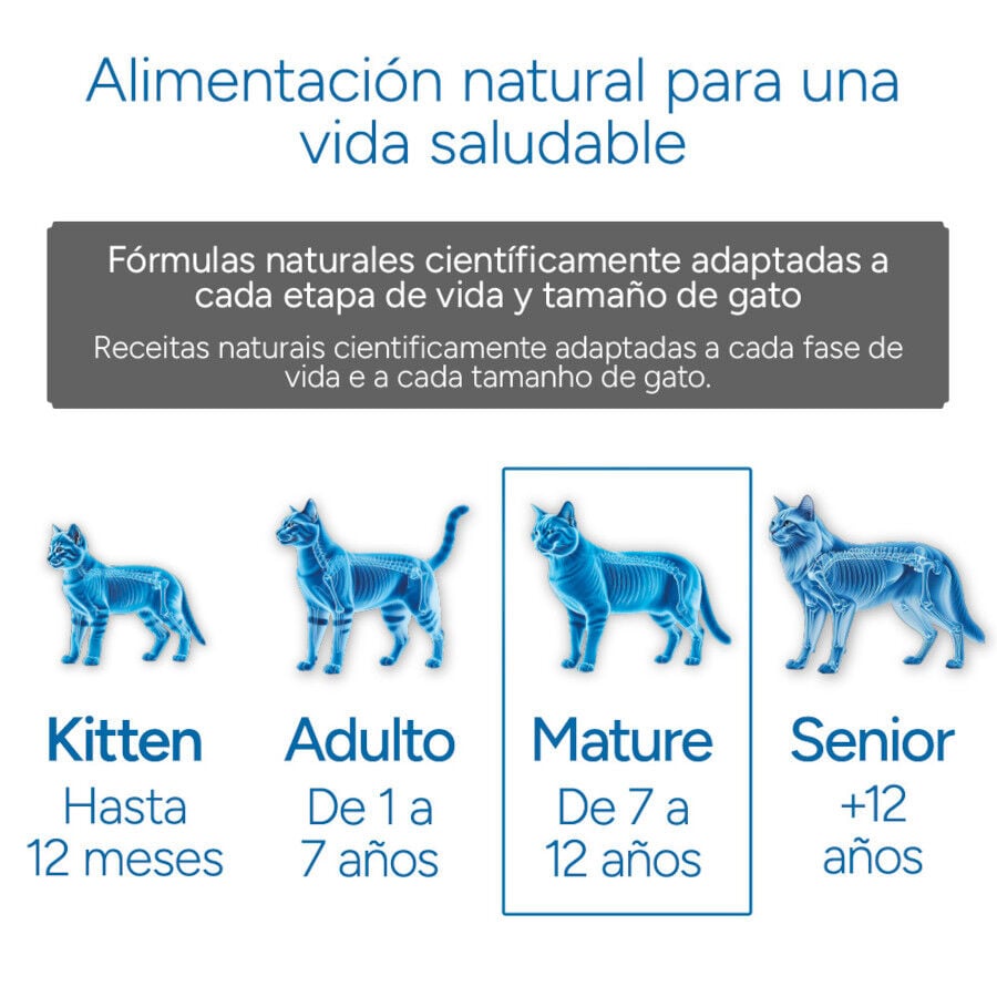 2 kg Criadores Cient&iacute;fico Mature +7 Pollo pienso para gatos, , large indicador imagen numero 11