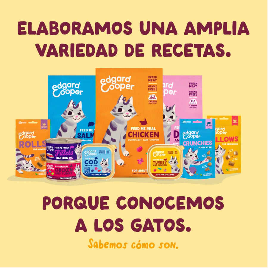 70 g Edgard & Cooper Filetes de Pollo y Pavo Lata para gatos, , large indicador imagen numero 8