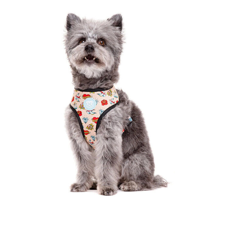 Dukier Arn&eacute;s Reversible Estampado Tattoo para perros, , large indicador imagen numero 2