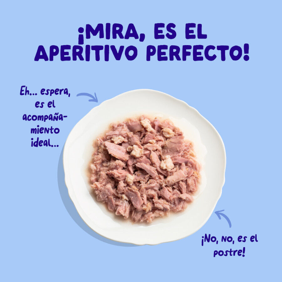 70 g Edgard & Cooper Filetes de At&uacute;n y Pollo lata para gatos, , large Imagen numero 3