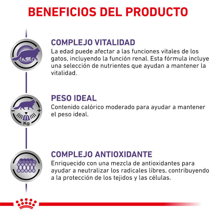 12 sobres x 85 g Royal Canin Mature Consult Balance Pat&eacute; sobre para gatos, , large indicador imagen numero 3