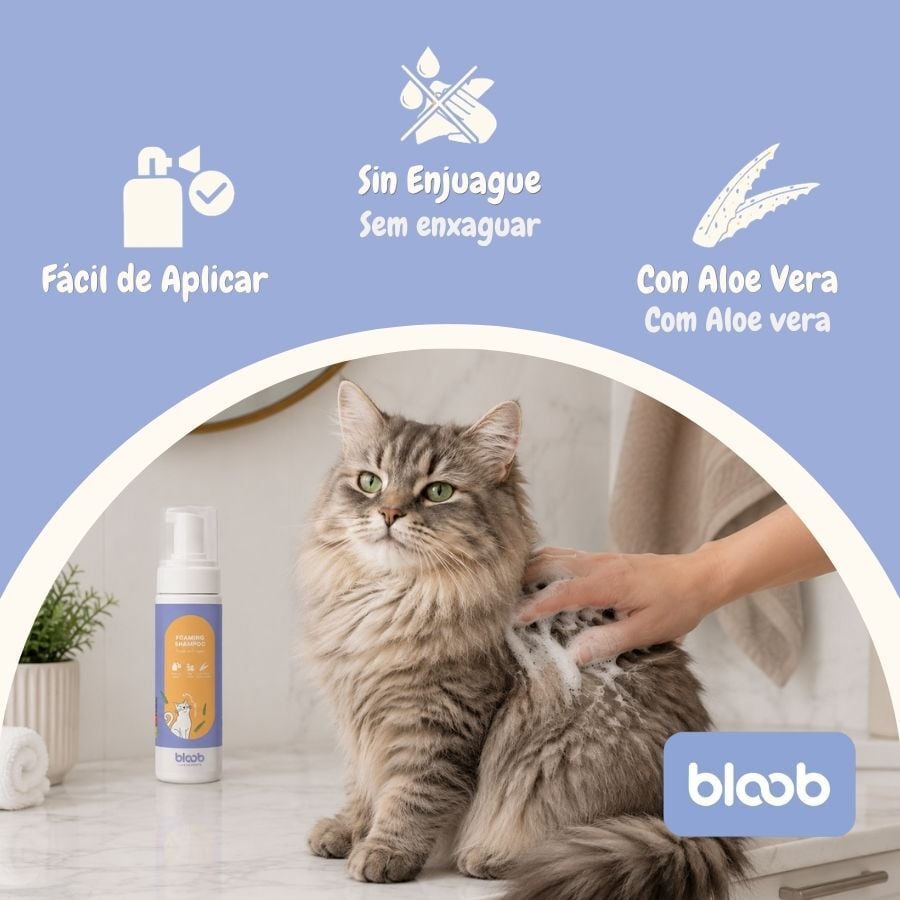 Bloob Champ&uacute; Seco en Espuma para gatos, , large indicador imagen numero 3