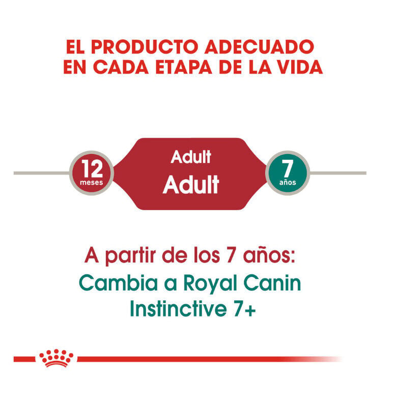 85 g Royal Canin Instinctive pat&eacute; sobre para gatos, , large indicador imagen numero 5