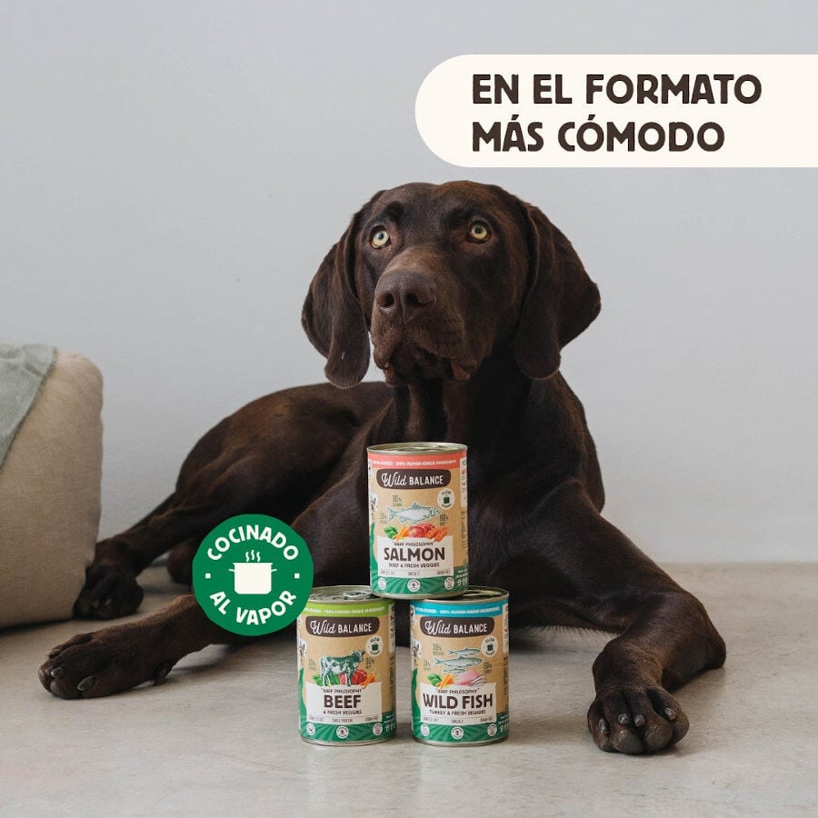 400 g Wild Balance BARF Salm&oacute;n y Ternera lata para perros, , large Imagen numero 3
