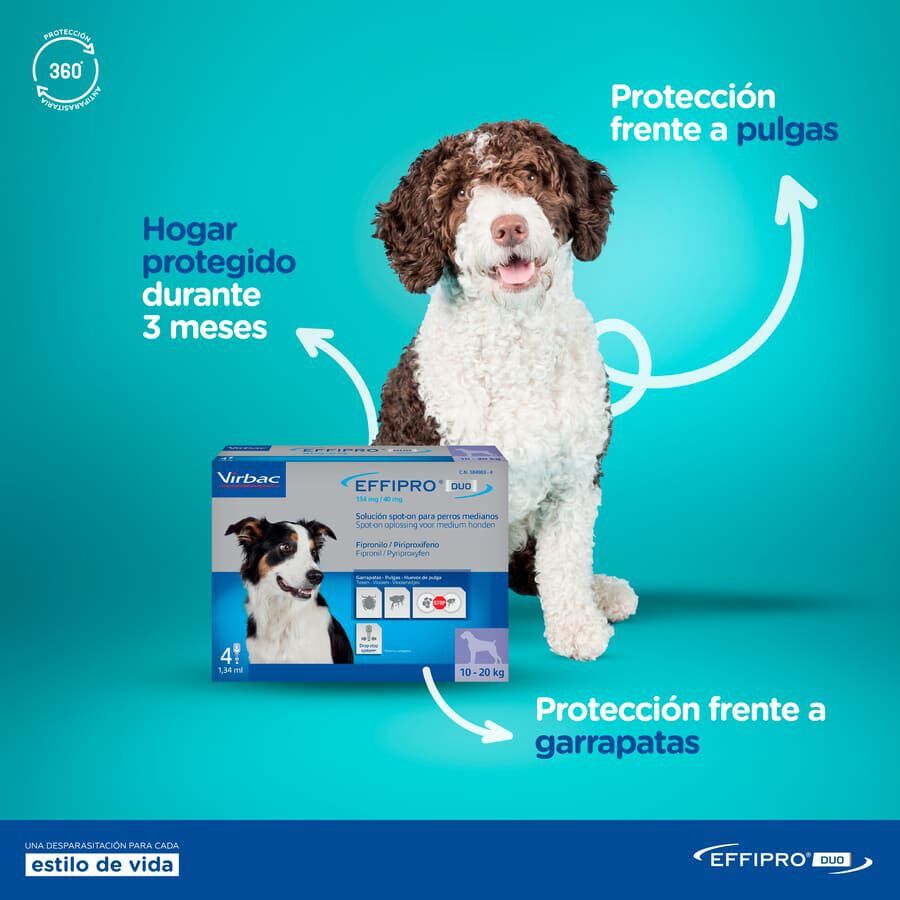 Effipro Duo pipetas antipar&aacute;sitos para perros, , large Imagen numero 2