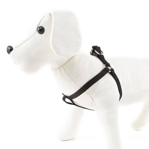 Nayeco Basic Arn&eacute;s Negro para perros