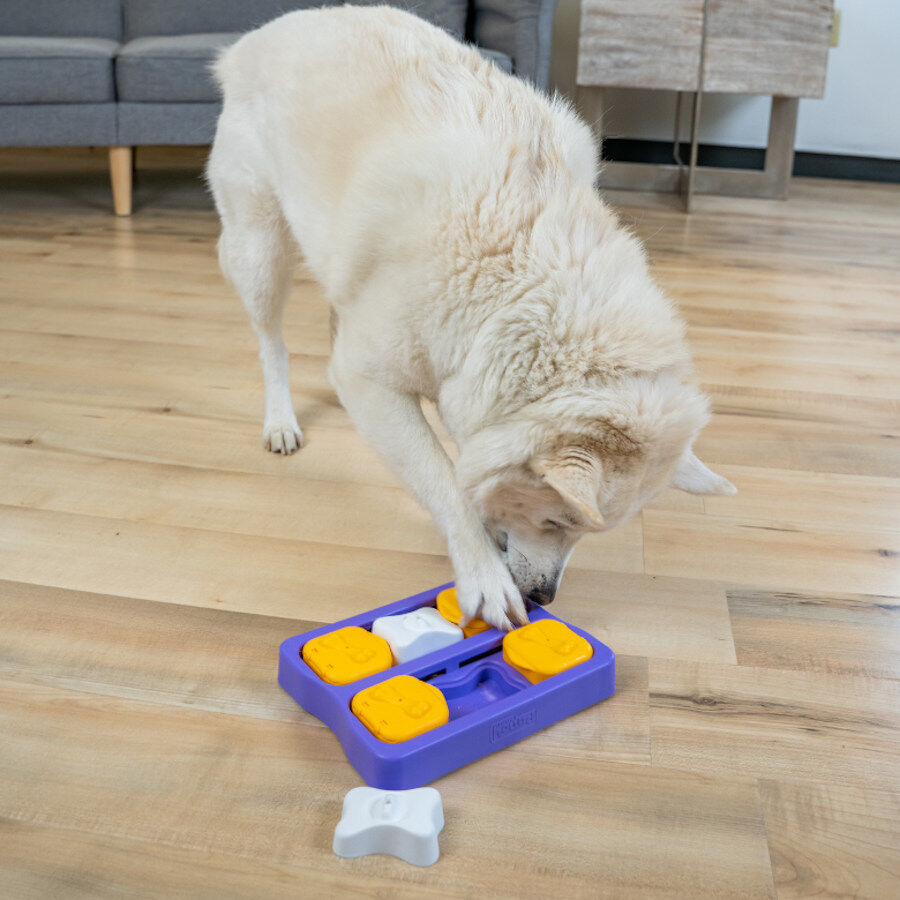 Outward Hound Brick Puzzle para perros, , large Imagen numero 3