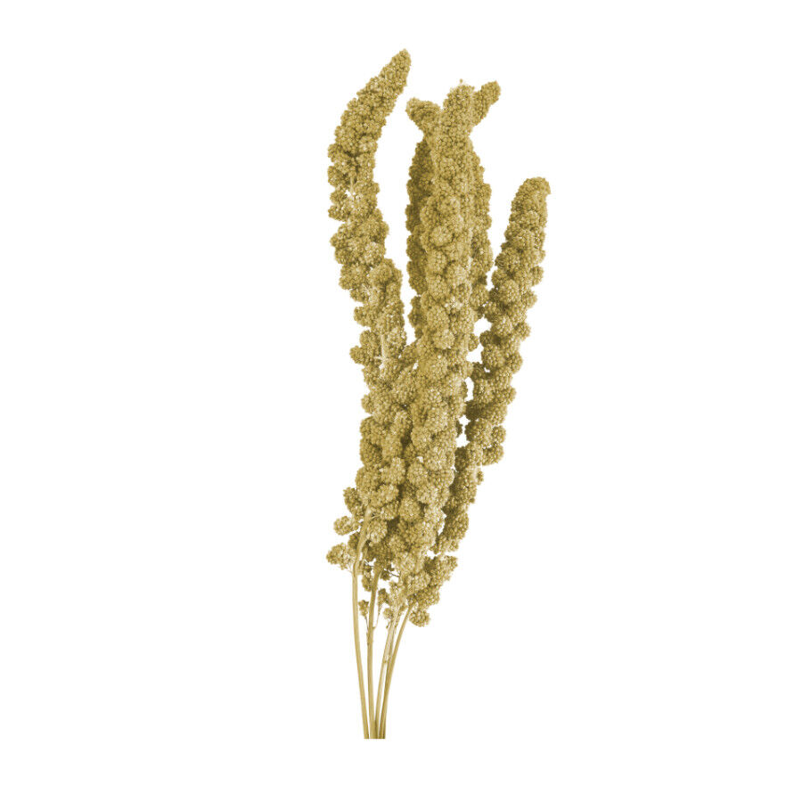 250 g Small life Snack Panizo Amarillo para p&aacute;jaros, , large indicador imagen numero 2