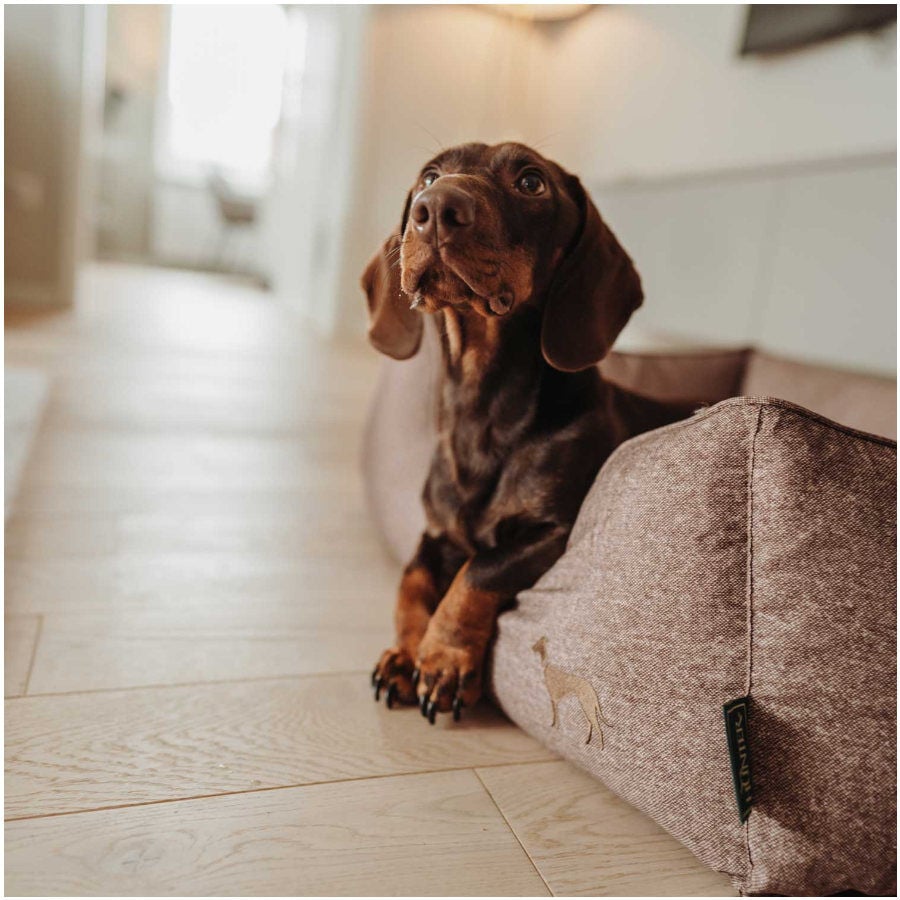 Hunter Boston Cozy Cama Marr&oacute;n para perros, , large Imagen numero 6