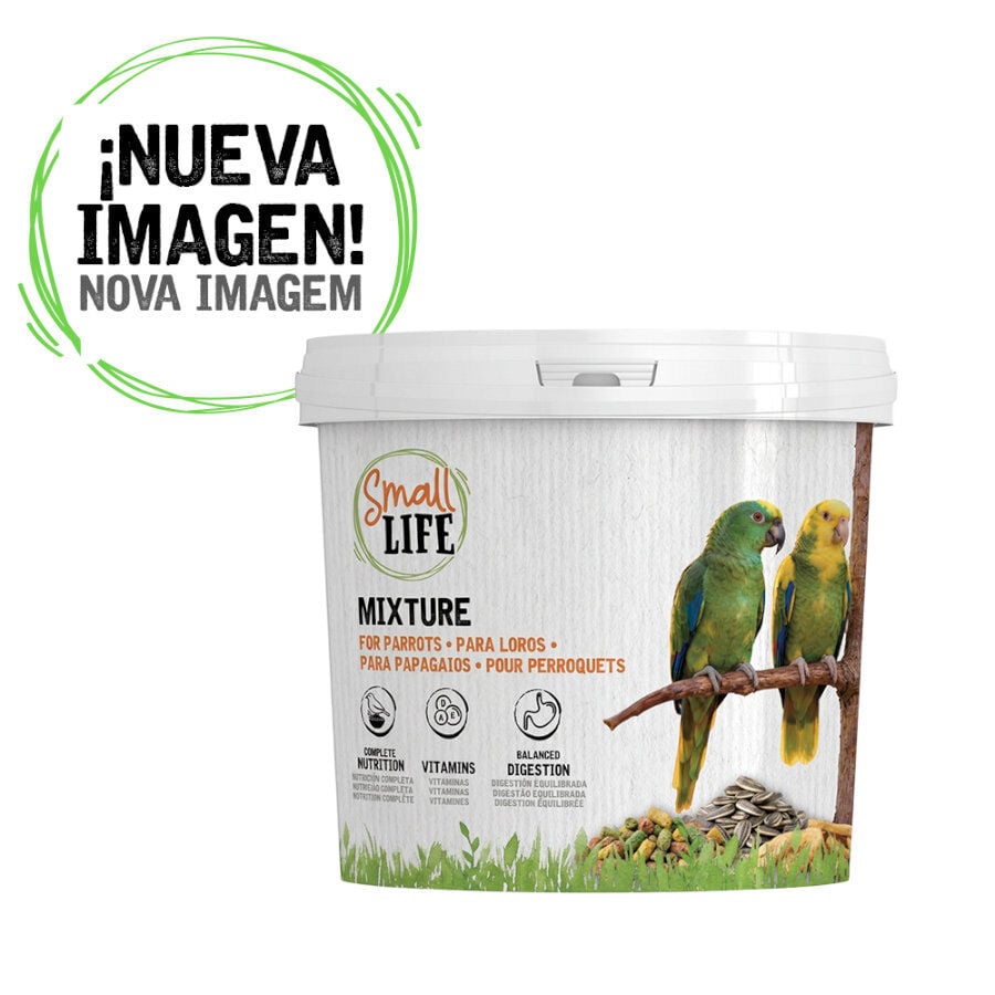 2.8 kg Small Life Mixtura Cubos para loros, , large indicador imagen numero 1