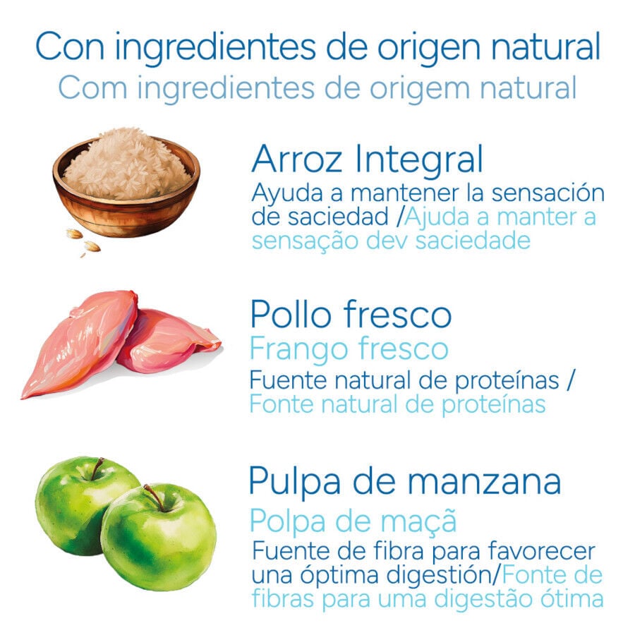 12 kg Criadores Cient&iacute;fico Light -46% contenido graso Adulto Medium-Maxi Pienso Pollo para perros, , large indicador imagen numero 5