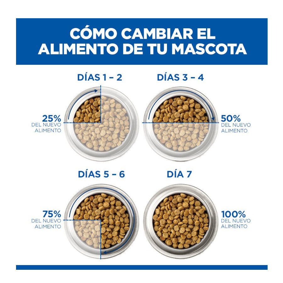 14 kg Hill's Science Plan Sensitive Stomach y skin Adult Pollo pienso para perros, , large indicador imagen numero 7